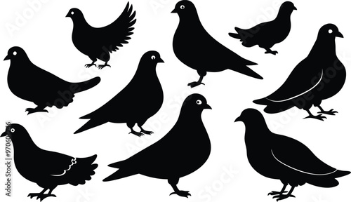 silhouettes of pigeons in various poses vector illustration silhouette, Print