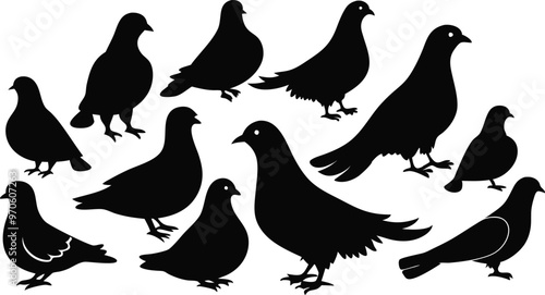 silhouettes of pigeons in various poses vector illustration silhouette, Print