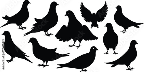 silhouettes of pigeons in various poses vector illustration silhouette, Print