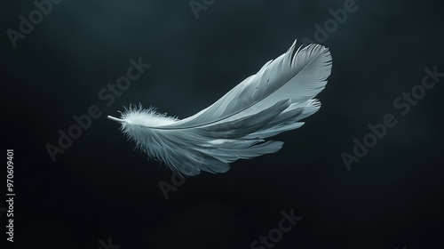 Floating Feather in Tranquil Monochrome Minimalist Art photo