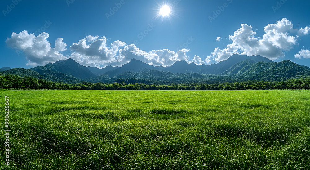 “Beautiful Green Grass Meadow Landscape with a Clear Blue Sky, Capturing the Serenity and Natural Beauty of Open Fields in a Tranquil Outdoor Setting”
“Beautiful Green Grass Meadow Landscape with a Clear Blue Sky, Capturing the Serenity and Natural Beauty of Open Fields in a Tranquil Outdoor Setting”