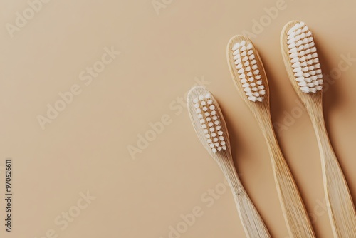 zero waste tooth brushes concept