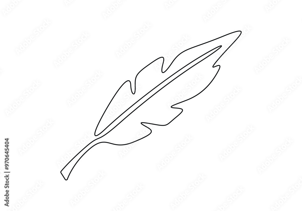 Bird feather continuous one line drawing. Isolated on white background vector illustration Bird feather continuous one line drawing. Isolated on white background vector illustration