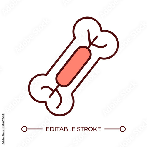 Bone marrow RGB color icon. Blood and stem cells production. Human anatomy. Leukemia, blood cancer. Medical illustration. Isolated vector illustration. Simple filled line drawing. Editable stroke