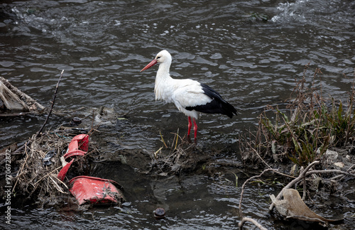 stork and plastic garbage waste image in the creek