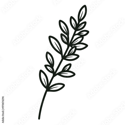 Thyme leaf clip art, vector illustration on white background