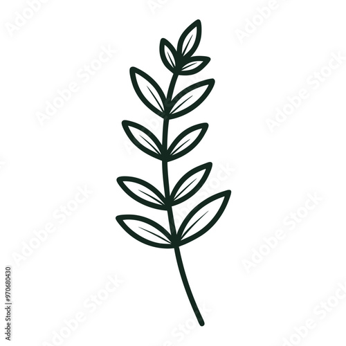 Thyme leaf clip art, vector illustration on white background