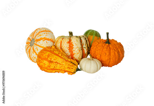 Set of decorative pumpkins isolated on transparent background. Variety of ornamental, edible and decorative gourds.