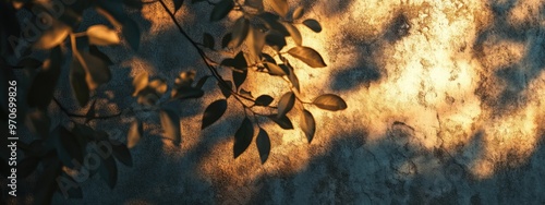 Shadows of Foliage Cast on a Textured Wall During Golden Hour photo