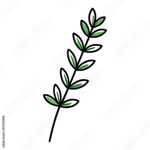 Thyme leaf clip art, vector illustration on white background