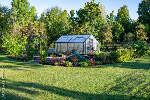 Morning light in garden with lawn and vegetable area photo