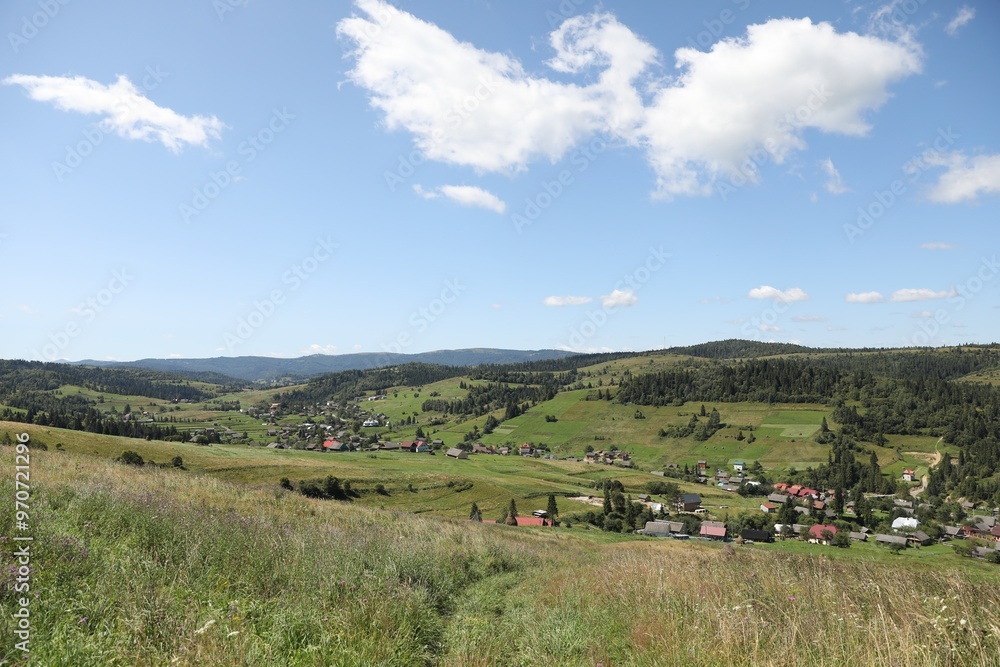 Fototapeta premium Picturesque view of houses and forest in mountains under blue sky