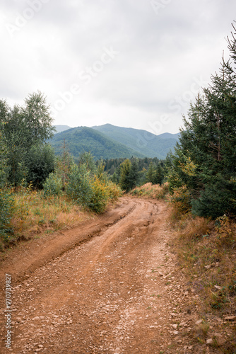 A dirt road cutting through a wild and rugged landscape.