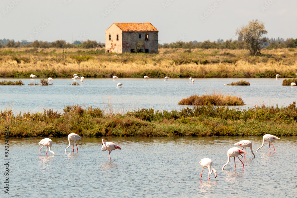 Naklejka premium Lidi di Comacchio Adriatic Sea beach and regional park Po Delta storm in summer