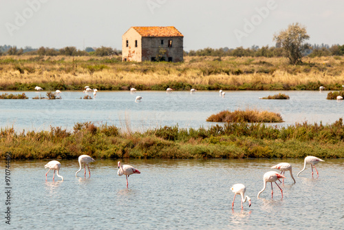 Lidi di Comacchio Adriatic Sea beach and regional park Po Delta storm in summer photo