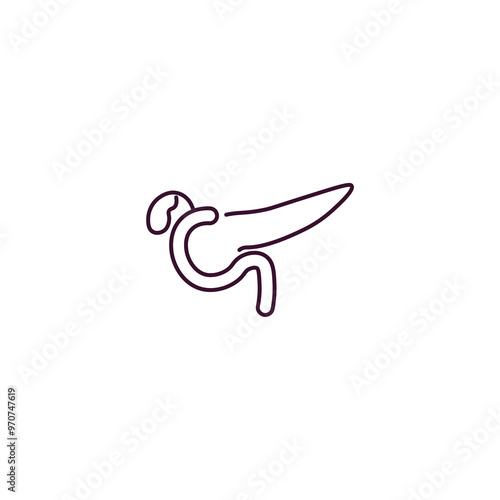 pancreas outline icon. Linear vector from health and medical concept. Thin line pancreas icon isolated on white background