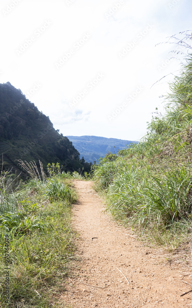 Fototapeta premium path in the mountains, hiking path in hill 