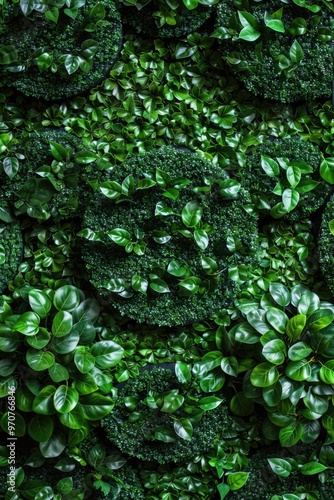 Close-up shot of a bunch of green plants