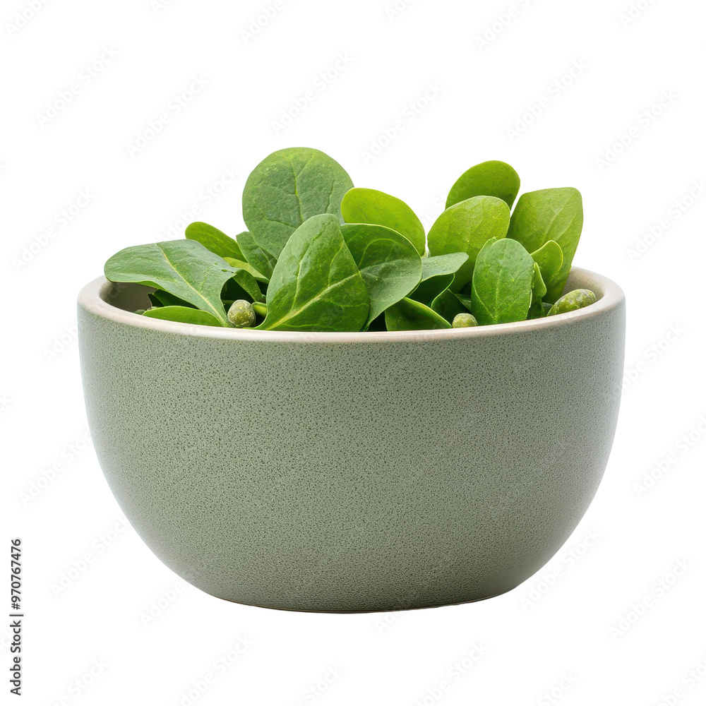 Fresh green leaves in a modern bowl, perfect for healthy cooking and vibrant salads. Fresh green leaves in a modern bowl, perfect for healthy cooking and vibrant salads.