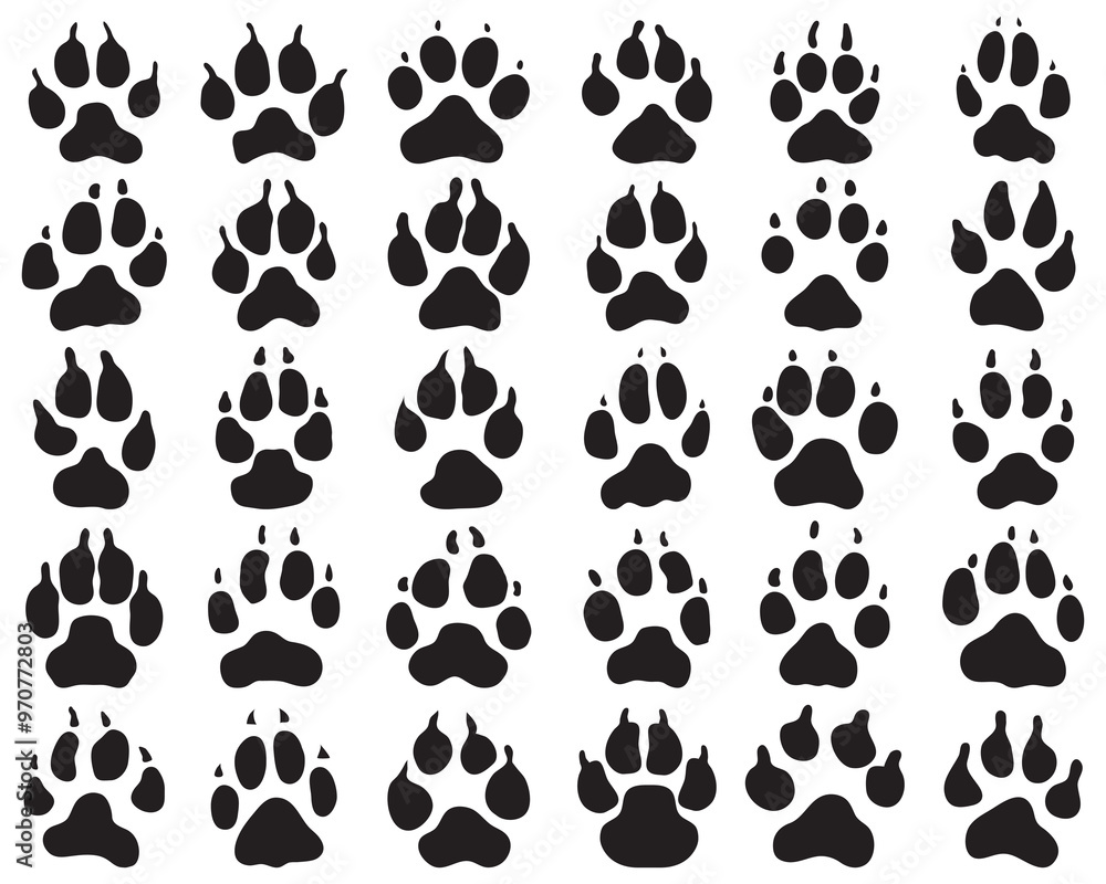 Fototapeta premium Black print of paw of dogs on a white background