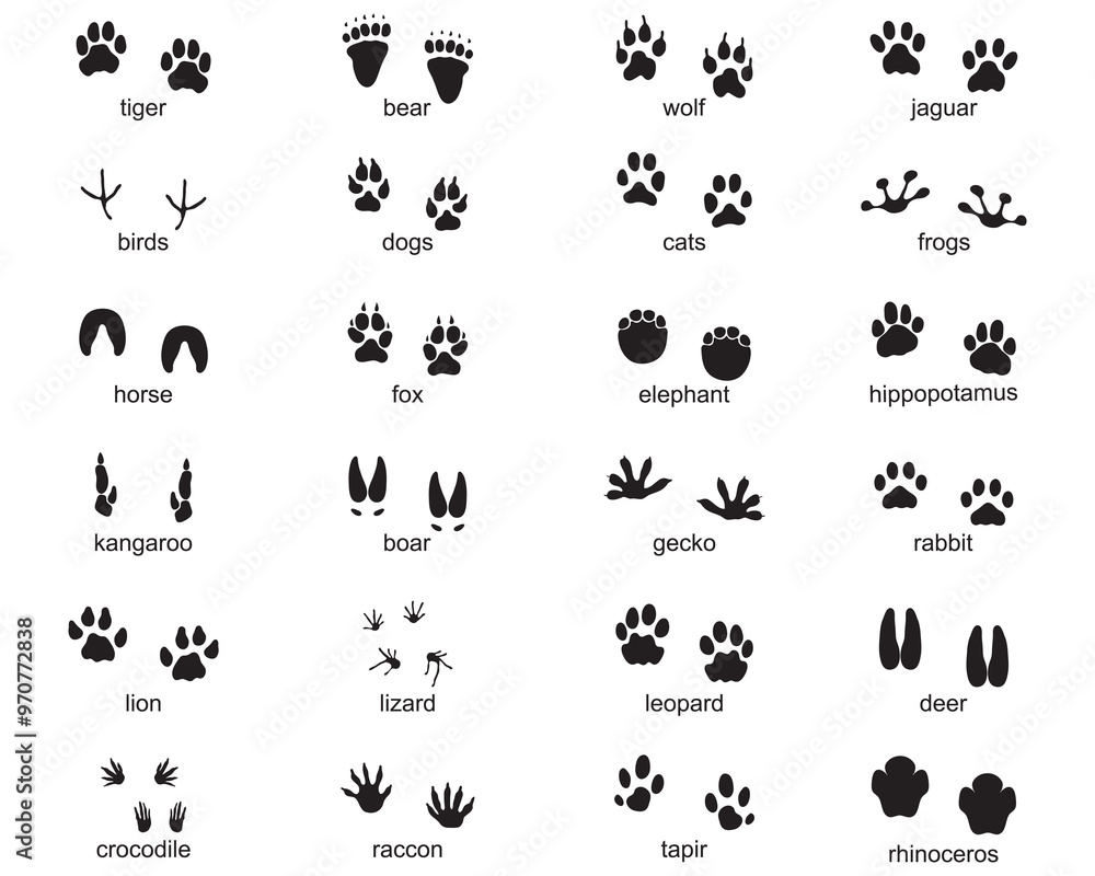 Set of footprints of wild animals, illustration of black silhouette Set of footprints of wild animals, illustration of black silhouette