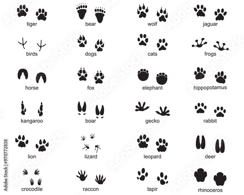 Set of footprints of wild animals, illustration of black silhouette