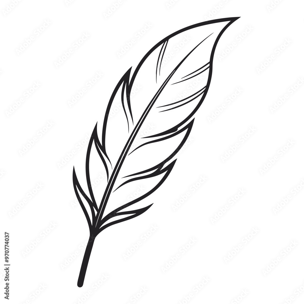 Obraz premium Adobe Illustrator Artwork simple feather using a single continuous line.