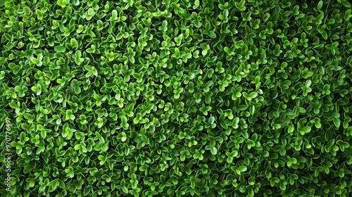 Artificial Green grass texture seamless background, top view