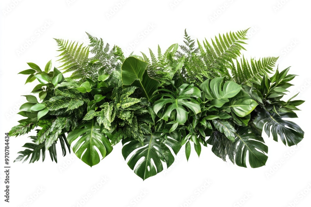 Obraz premium Tropical plant arrangement for indoor nature backdrop.
