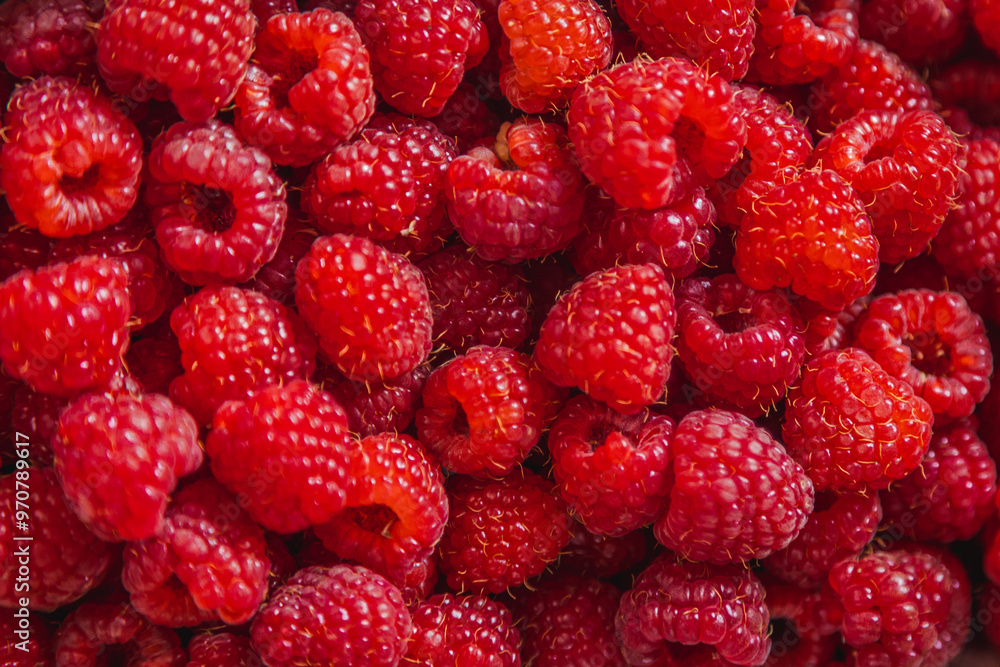 fruit background wallpaper red raspberries fruit background wallpaper red raspberries