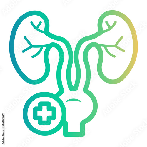 kidneys Line Gradient Icon
