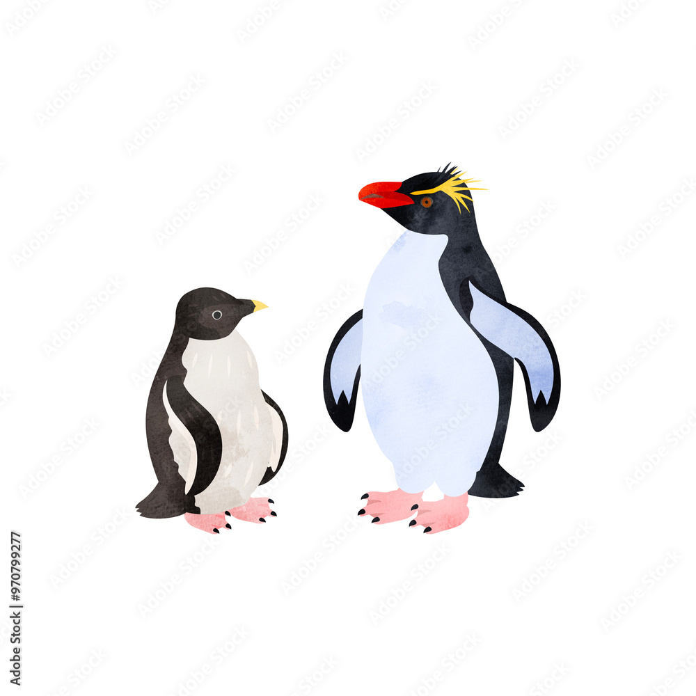 Obraz premium ミナミイワトビペンギンの雛と成鳥。水彩風イラスト。 Southern rockhopper penguin chick and adult. Watercolor style illustration.