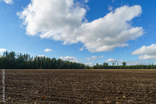 Quadro em tela plowed field and blue sky