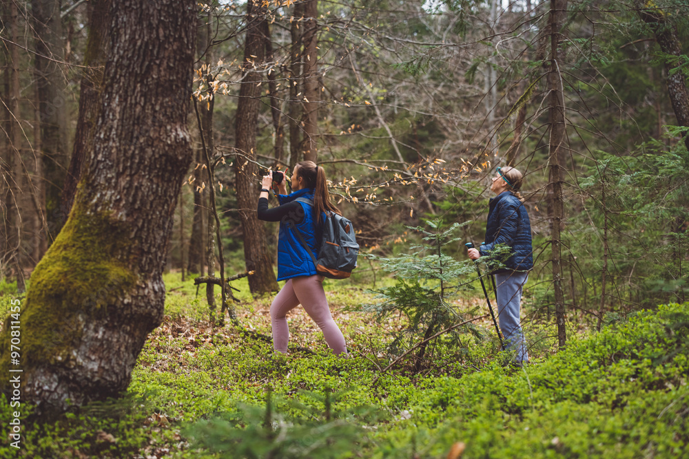 Obraz premium Two women hiking in a forest, one using trekking poles and wearing a headlamp, the other carrying a backpack. They are surrounded by green foliage and trees.