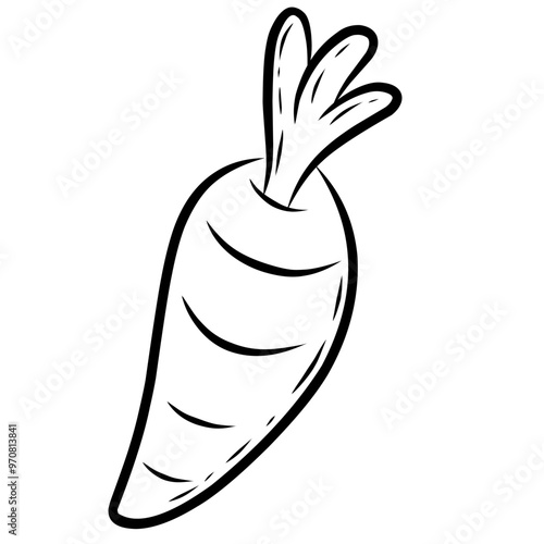 hand drawn vector illustration of a carrot