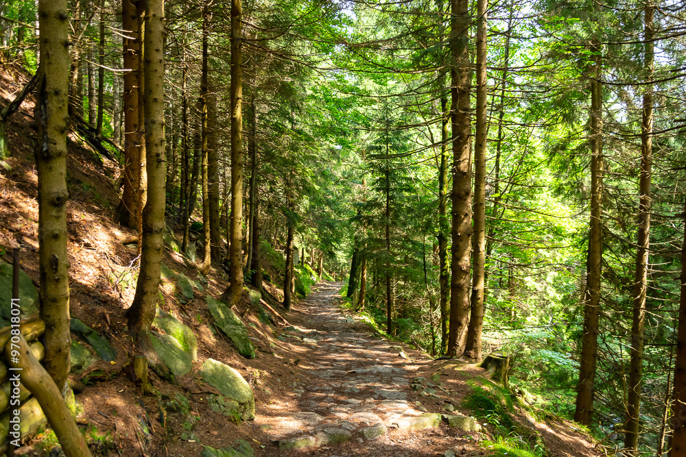 the main Sudetes trail leading to Sniezka the main Sudetes trail leading to Sniezka