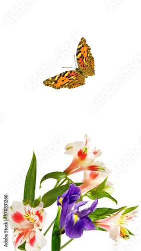 A delicate orange butterfly gracefully hovers above a vibrant arrangement of colorful flowers against a clean, transparent background photo