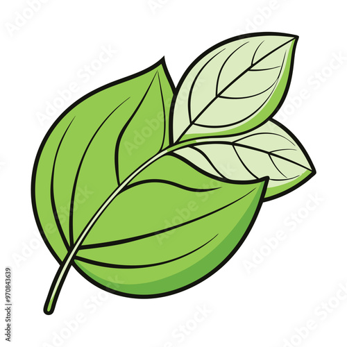 Basil leaf clip art, vector illustration on white background.