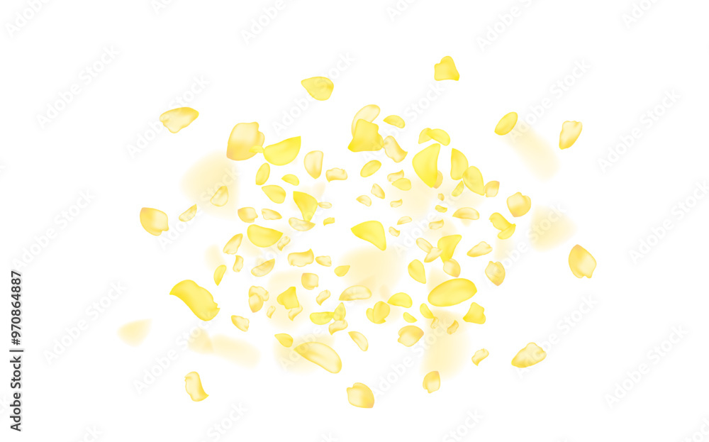 custom made wallpaper toronto digitalYellow falling rose or sunflowers petals.Transparent panoramic horizontal background.Amber flower spring template.