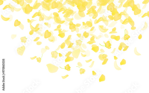 Yellow falling rose or sunflowers petals.Transparent panoramic horizontal background.Amber flower spring template.