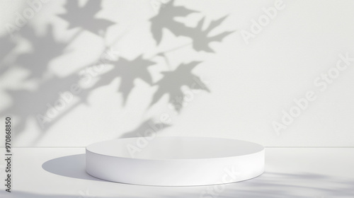White empty round podium with soft leaf shadows on light background. Product display background with copy space