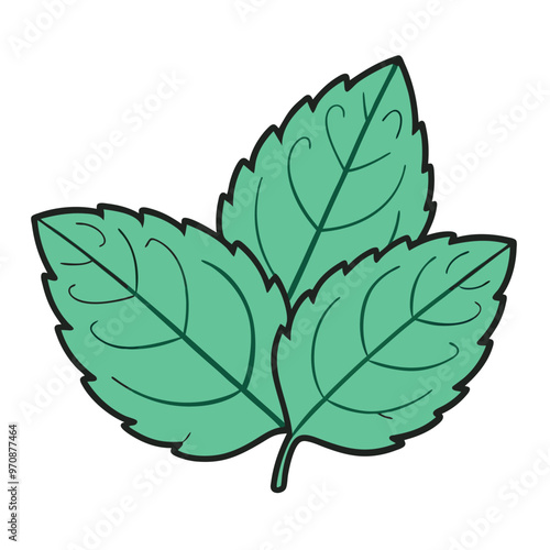 Mint leaf clip art, vector illustration on white background.