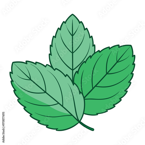 Mint leaf clip art, vector illustration on white background.