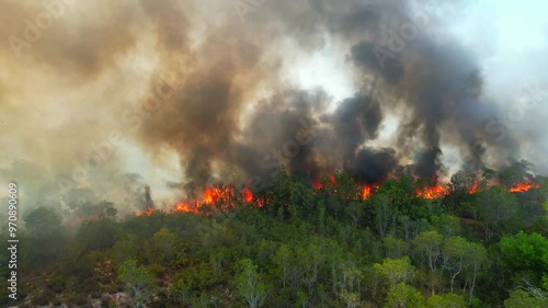 Wildfires are burning forests in the summer heat.