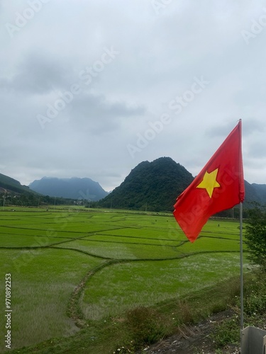 Vietnam countryside and flag 