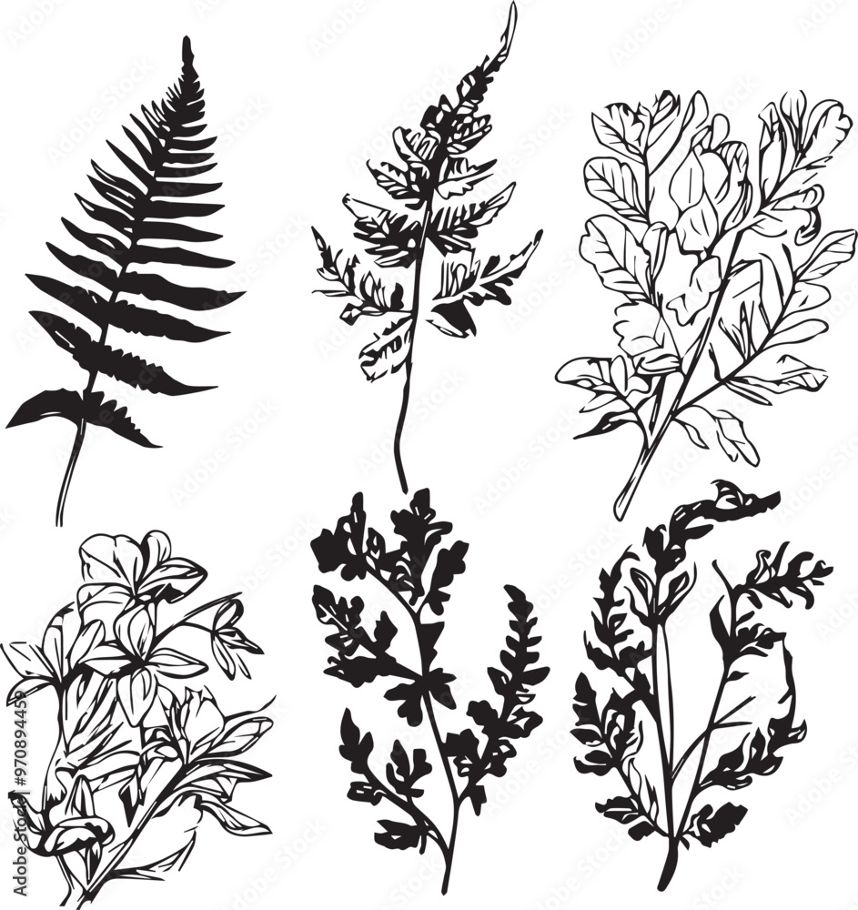 Set plants. Hand drawn vector illustration Set plants. Hand drawn vector illustration