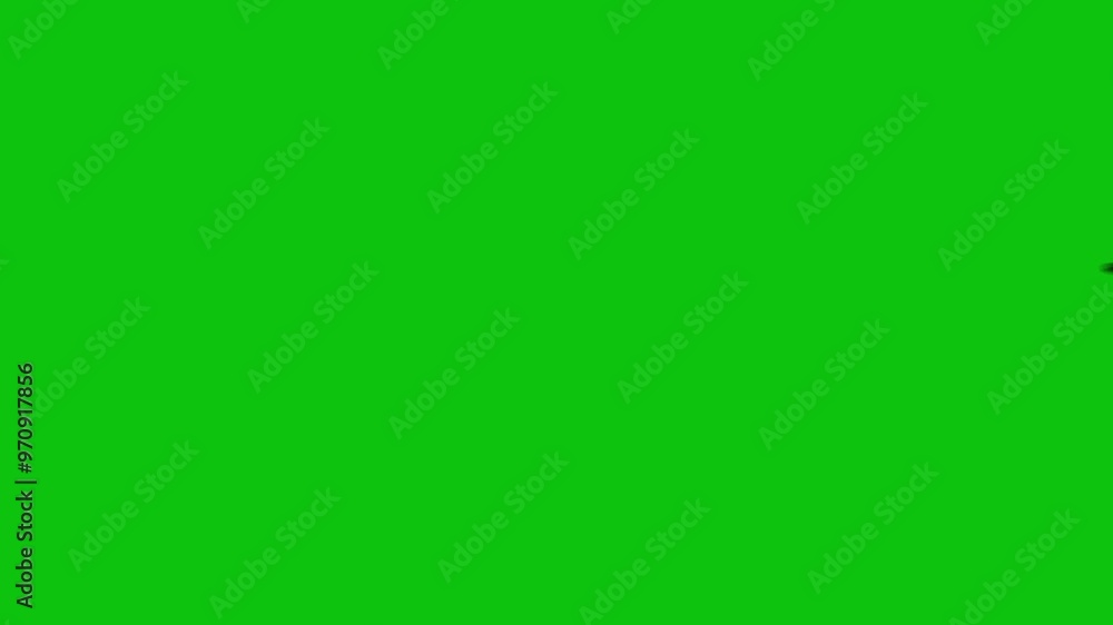 flock of black crows flying isolated on green screen flock of black crows flying isolated on green screen