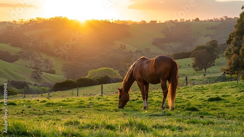 Equestrian Grace: A Picture of a Mare in a Summer Farm Landscape