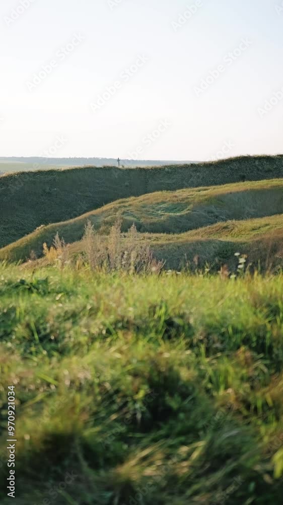 nature nature