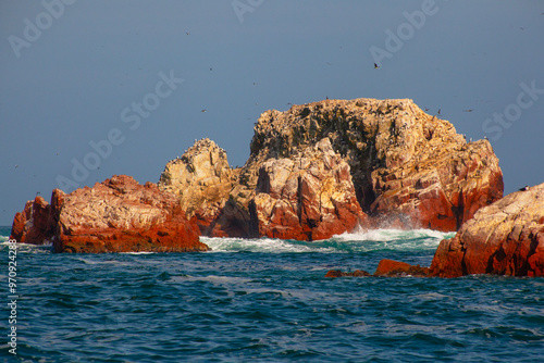 Canvas Print Lots of birds on Ballestas Islands national reserve, Paracas, Peru